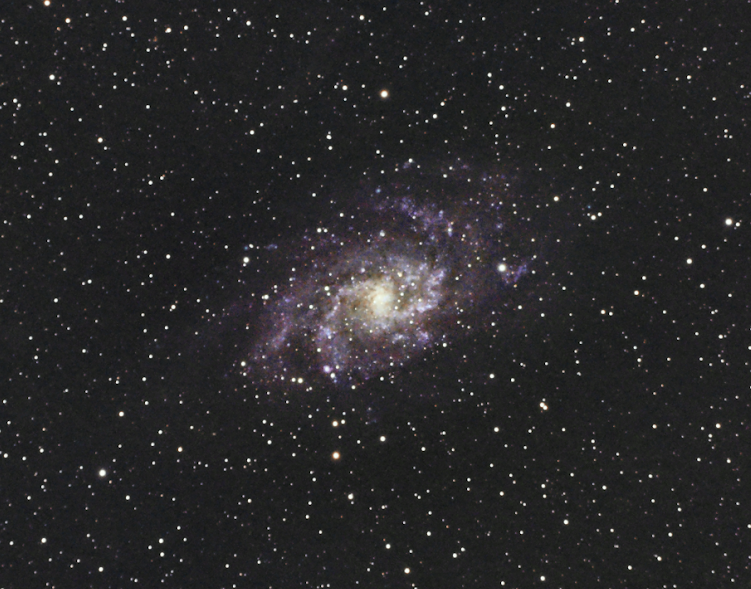 M33